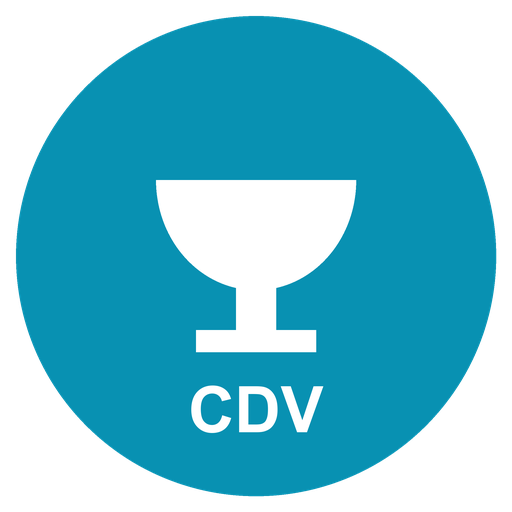 شعار Copa de Verano Costa Blanca